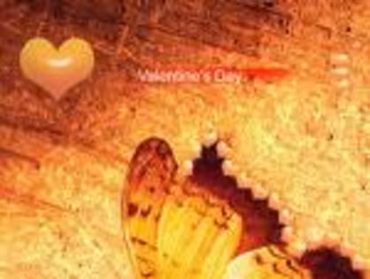 imagesCAT2I58B - Happy Valentine is day