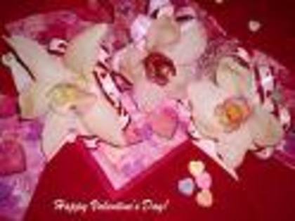 imagesCAWMKI9U - Happy Valentine is day