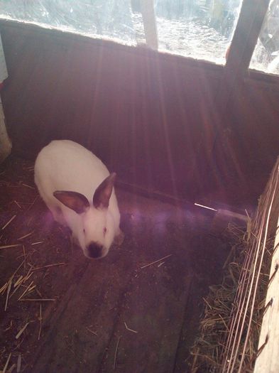 10868218_714084312045174_7003788595258188728_n