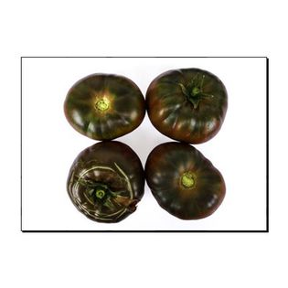 TOMATE BLACK BEEFE 2 - TOMATE BLACK BEEFE  __negru biftec