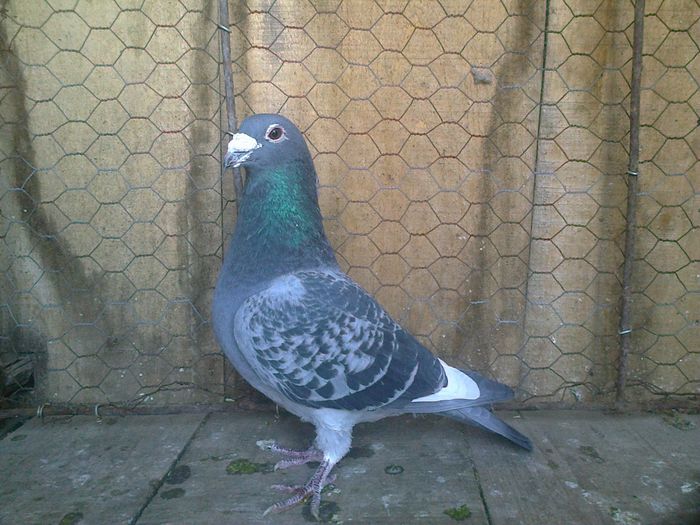 Imag 012631