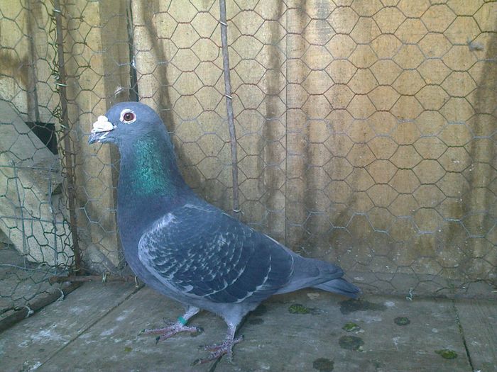 Imag 012653