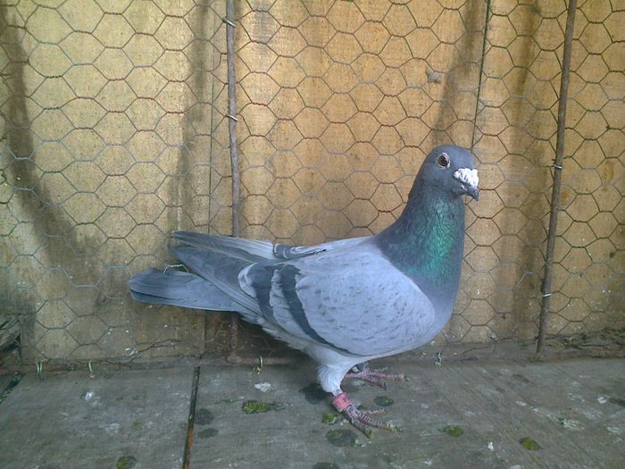 Imag 012656