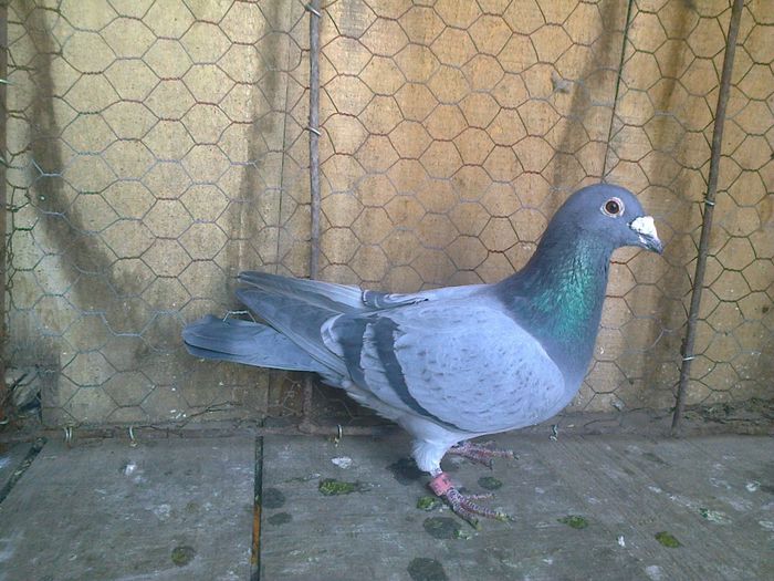 Imag 012657
