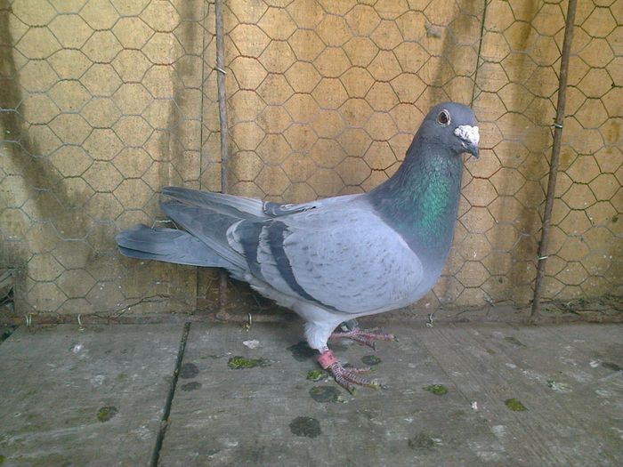 Imag 012658