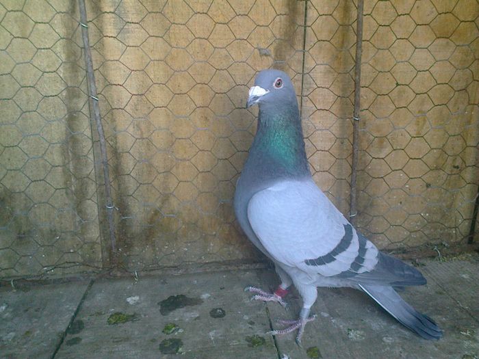 Imag 012665