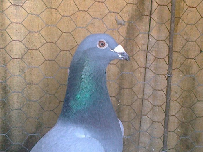 Imag 012667