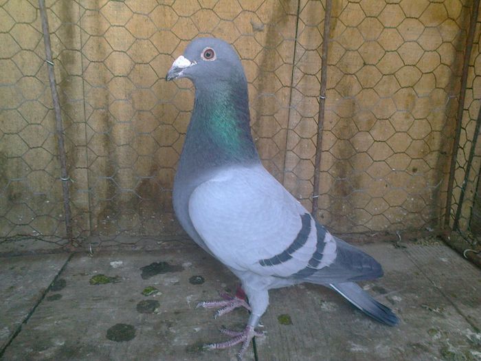 Imag 012670