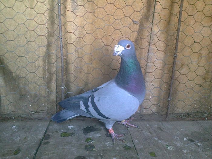 Imag 012673