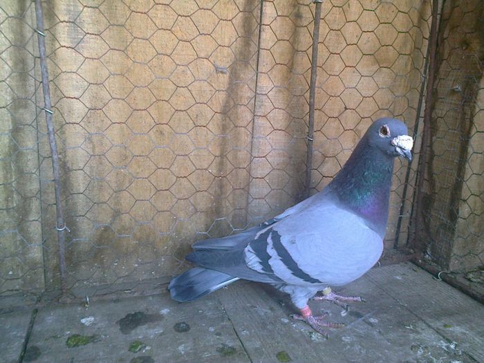Imag 012675