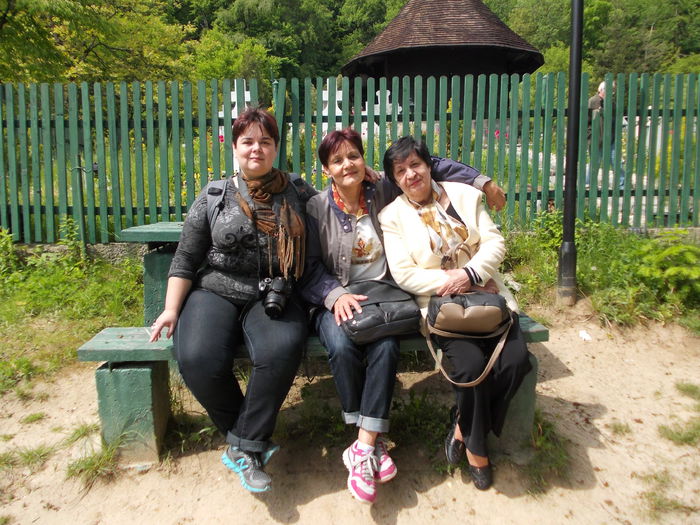077 - Excursie  in 2014