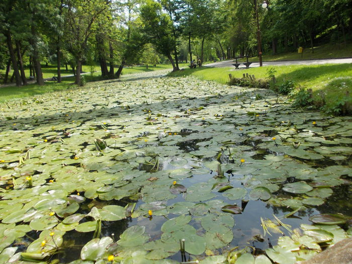 008 - Excursie  in 2014