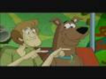 scooby-doo (36)