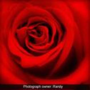 imagesCA2W86SV - 000000000000000000Lucruri noi0000000000000000000
