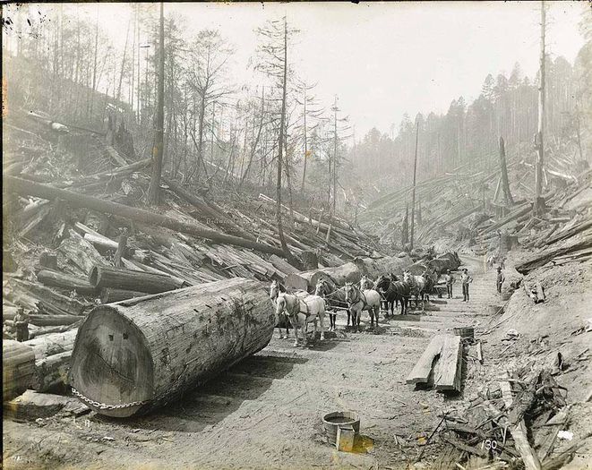 971405_459907580795515_1557446733_n