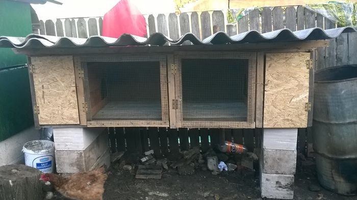 10547242_1551771415072280_7065819535769594495_o