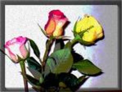 imagesCACUD7FV - 000000000000000000Lucruri noi0000000000000000000