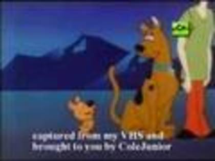 scooby-doo (43)