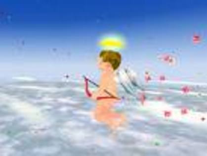imagesCAD7WXBV - 000000000000000000Lucruri noi0000000000000000000