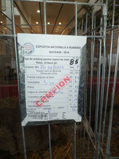 DSC03929 - EXPO SUCEAVA 2014