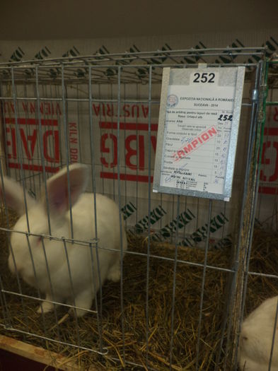 DSC03944 - EXPO SUCEAVA 2014