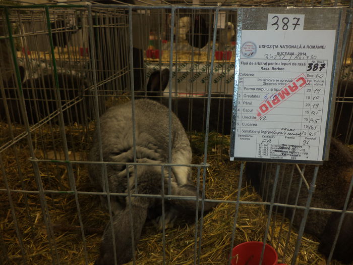 DSC03954 - EXPO SUCEAVA 2014
