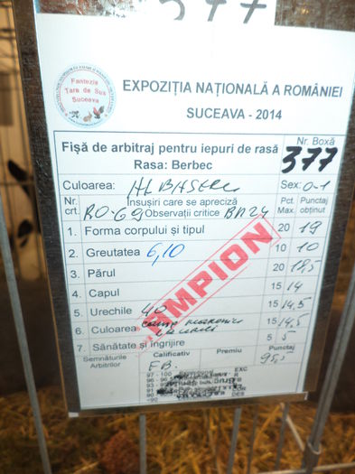 DSC03958 - EXPO SUCEAVA 2014