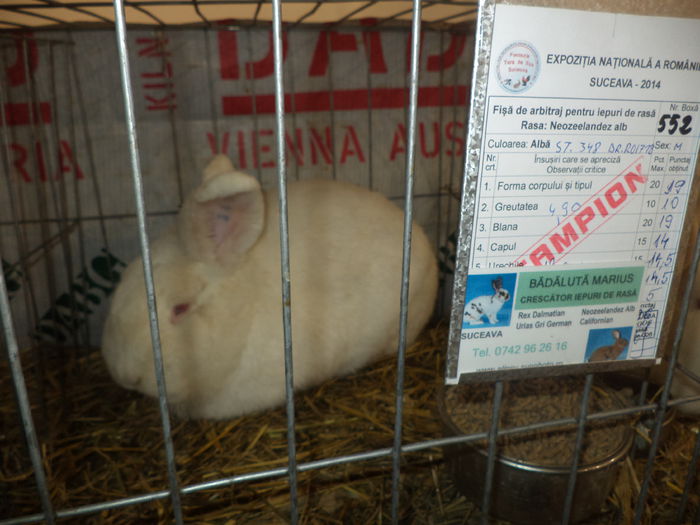 DSC04000
