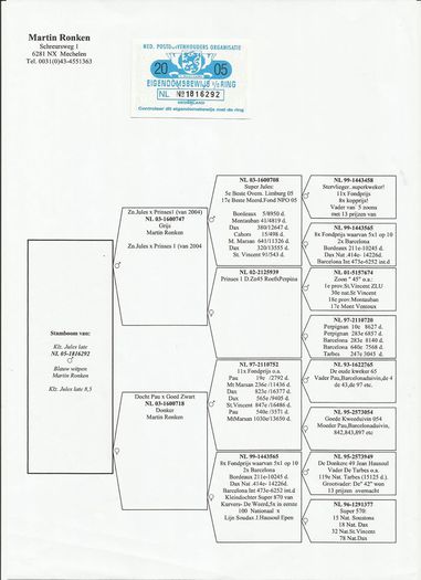 Pedigree - D Perechea 4