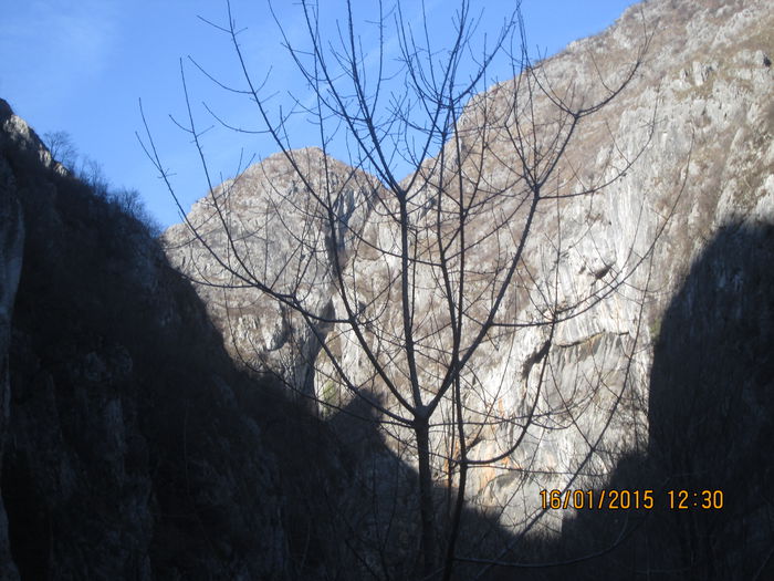 IMG_0068 - Valea Sohodolului in ianuarie 2015