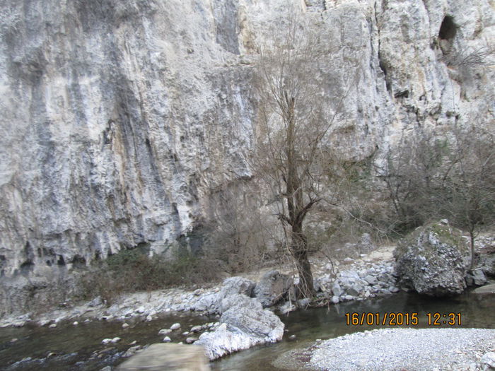 IMG_0071 - Valea Sohodolului in ianuarie 2015