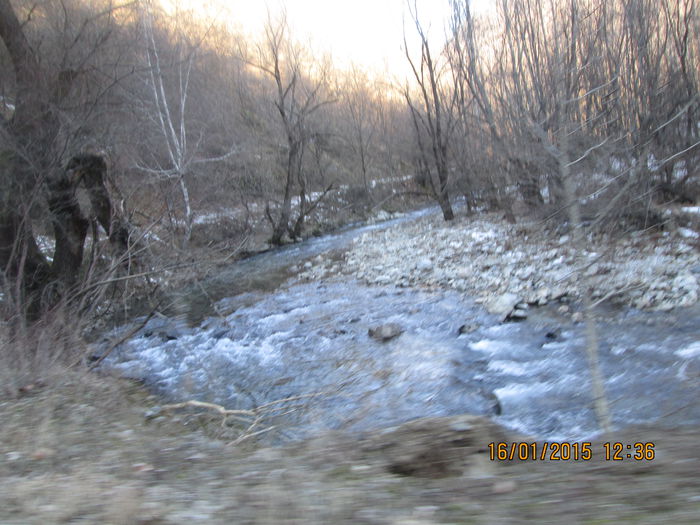 IMG_0077 - Valea Sohodolului in ianuarie 2015