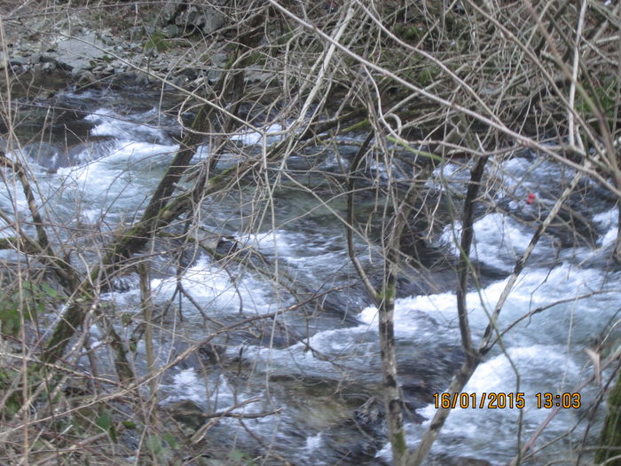 IMG_0141 - Valea Sohodolului in ianuarie 2015