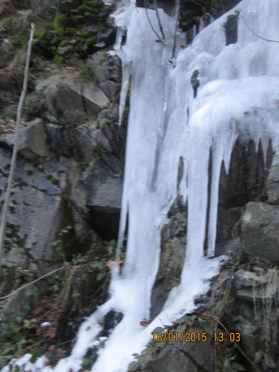 IMG_0144 - Valea Sohodolului in ianuarie 2015
