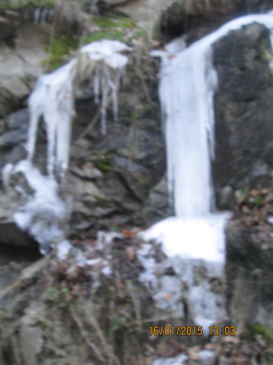 IMG_0145 - Valea Sohodolului in ianuarie 2015