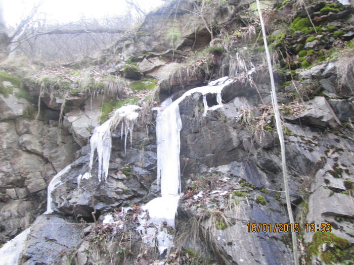 IMG_0235 - Valea Sohodolului in ianuarie 2015