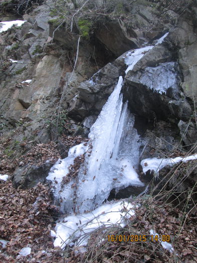 IMG_0238 - Valea Sohodolului in ianuarie 2015
