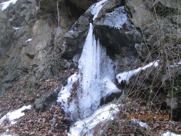 IMG_0239 - Valea Sohodolului in ianuarie 2015