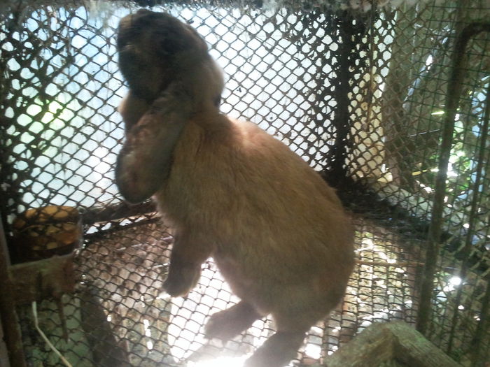 MINA - touringen madagascar