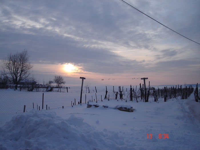 18dec2012 003 - Iarna