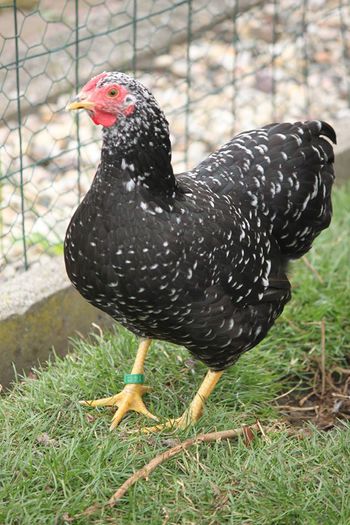 1146127_10201830904037957_150119633_o