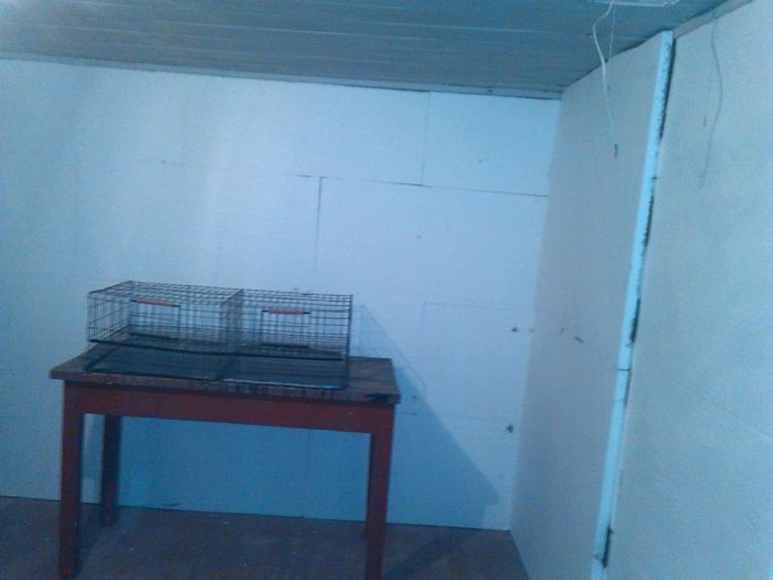 I17.01.2015 - izolatie