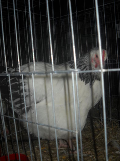 DSCN0076
