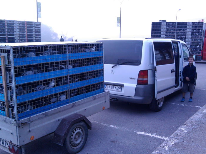 Remorca plus ce era in masina plus celelalte 2 masini