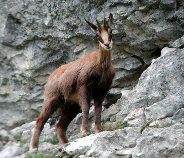 aa0ff071218c04e3ca3a6e568f057b24