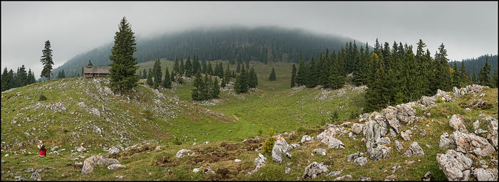 Poiana Zanoaga 3 Panorama Framed - 65-Locuri de vizitat