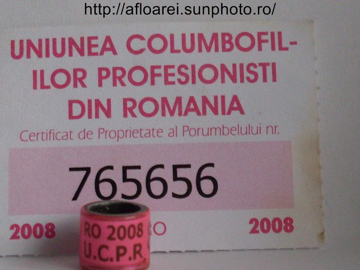 ro ucpr 2008 - UCP