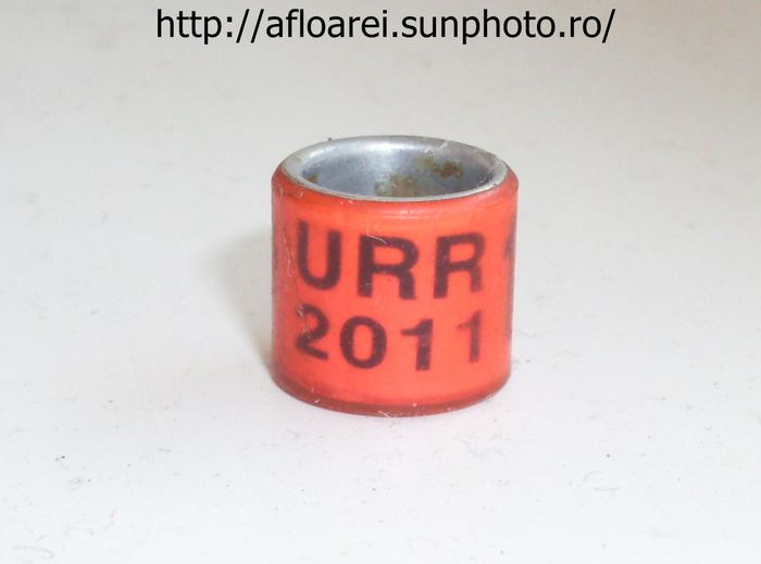 urr 2011