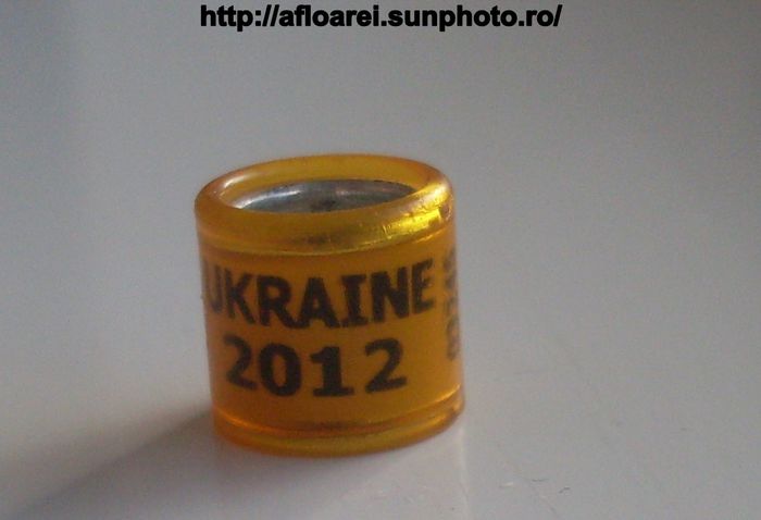 ukraine 2012