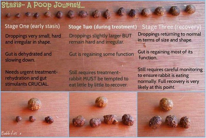 10426886_617223291743842_5001338636292445971_n